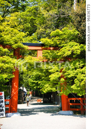 World Heritage Shimogamo Shrine May 2022 96836773