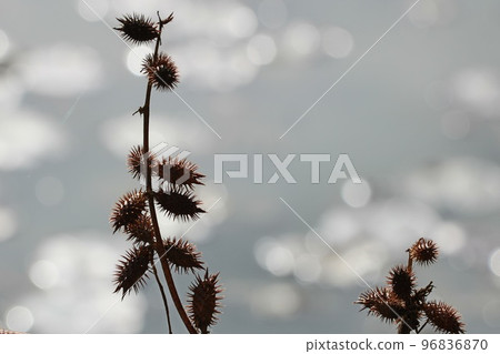 哦,親愛的 哦,親愛的 96836870