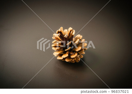 Pine cones picked under a pine tree on a windy day in late autumn Pine cones picked under a pine tree on a windy day in late autumn 96837021