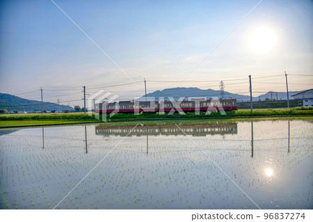 Ohmi Railway Gachacon Train 96837274