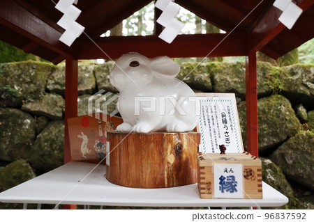 White Rabbit White Rabbit 96837592