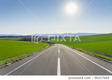 Summer road 6 in Biei 96837669