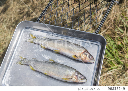 [在中津川河床上露營，製作鹽烤香魚] 96838249