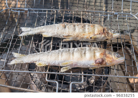 [在中津川河床上露營，用餘燼鹽烤養殖的香魚] 96838255