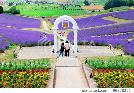 北海道遊記七月日出公園上富良野町薰衣草園 96838295