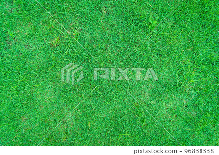 Grass Golf Courses green lawn pattern textured background. Green grass texture background, Top view of grass garden Ideal concept used for making green flooring, lawn for training football pitch. 96838338