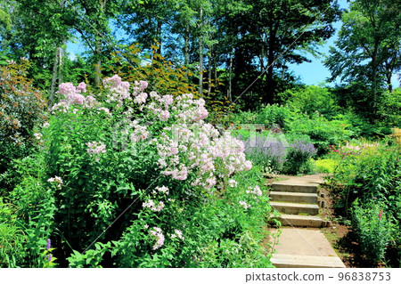 Hokkaido Travelogue: Daisetsu Mori Garden in July 96838753