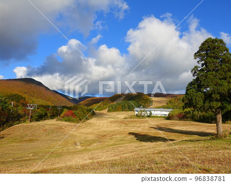 Zao Liza World Bodaira Kogen Zao Koyo Koyo 96838781