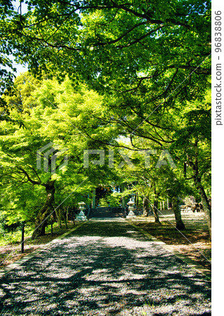 On the way to Keisokuji Yoshiro Shrine On the way to Keisokuji Yoshiro Shrine 96838806