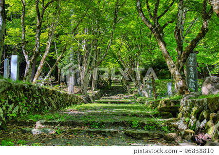 Fresh green of Keisokuji Temple (former Ipukuji Temple)April 2022 Fresh green of Keisokuji Temple (former Ipukuji Temple)April 2022 96838810