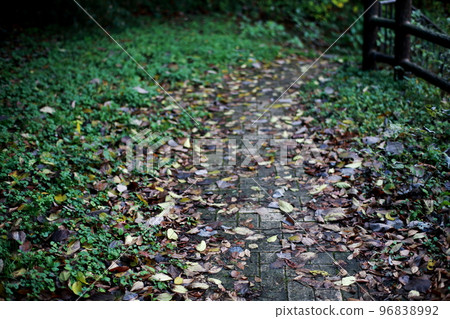 落葉路 落葉路 96838992