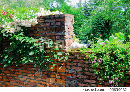 北海道遊記 七月的上野農場 下午的花園 北海道花園路 96839082