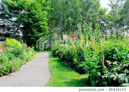 Hokkaido Travelogue Ueno Farm in July Afternoon Garden Hokkaido Garden Road 96839142