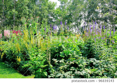 Hokkaido Travelogue Ueno Farm in July Afternoon Garden Hokkaido Garden Road 96839143