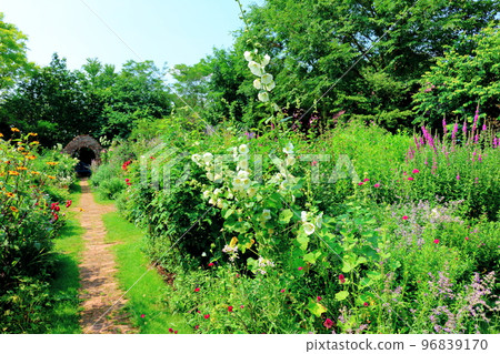 北海道遊記 七月的上野農場 下午的花園 北海道花園路 96839170