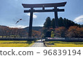 A pair of dragonflies flew under the blue autumn sky with the torii gate in the background. 96839194