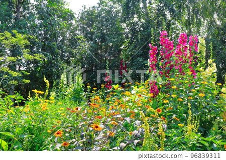 北海道遊記 七月的上野農場 下午的花園 北海道花園路 96839311