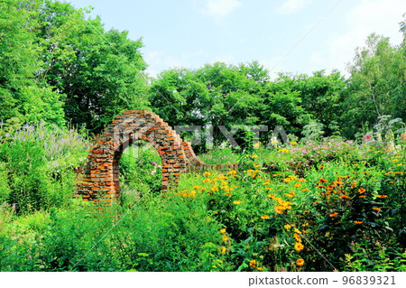北海道遊記 七月的上野農場 下午的花園 北海道花園路 96839321