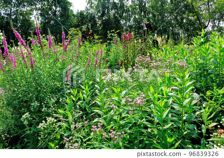 Hokkaido Travelogue Ueno Farm in July Afternoon Garden Hokkaido Garden Road 96839326