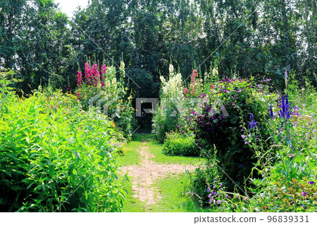 Hokkaido Travelogue Ueno Farm in July Afternoon Garden Hokkaido Garden Road 96839331