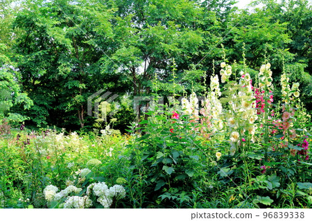 Hokkaido Travelogue Ueno Farm in July Afternoon Garden Hokkaido Garden Road 96839338