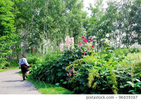 Hokkaido Travelogue Ueno Farm in July Afternoon Garden Hokkaido Garden Road 96839387