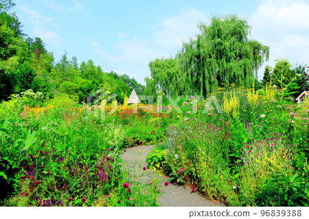 Hokkaido Travelogue Ueno Farm in July Afternoon Garden Hokkaido Garden Road 96839388