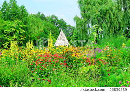 北海道遊記 七月的上野農場 下午的花園 北海道花園路 96839389