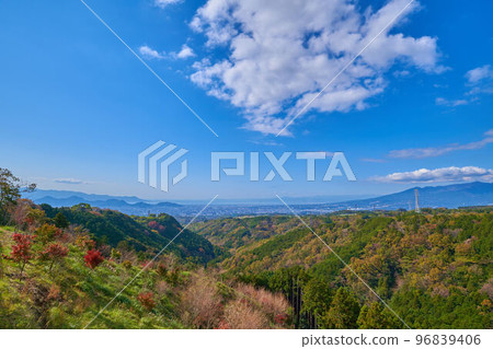 秋季從靜岡縣三島天空步道向西眺望 96839406