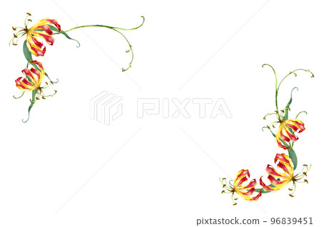 Gloriosa flower frame watercolor illustration Gloriosa flower frame watercolor illustration 96839451