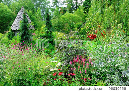 北海道遊記 七月的上野農場 下午的花園 北海道花園路 96839666