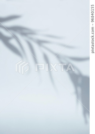 Plant shadows and margins reflected on the wall 96840155