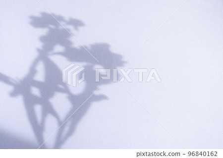 牆上反射的植物陰影和邊緣 96840162