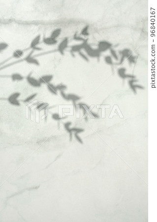 Plant shadows and margins reflected on the wall Plant shadows and margins reflected on the wall 96840167
