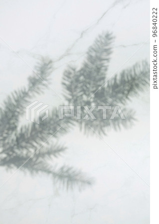 Plant shadows and margins reflected on the wall 96840222