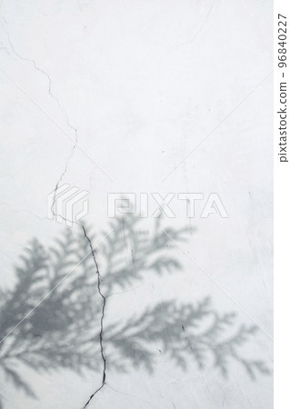 Plant shadows and margins reflected on the wall 96840227