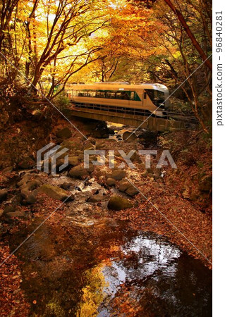一邊欣賞秋色的溪流，一邊沿著奧鬼怒路行駛...在龍京站，乘坐特快Liberty Aizu 96840281