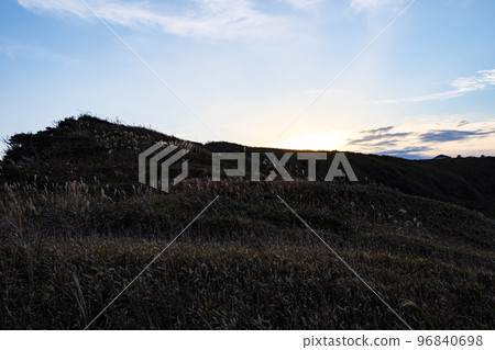 湘南三浦半島的名勝黑崎之花（神奈川縣三浦市）的冬天 96840698