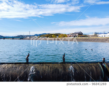 White heron and black heron by drone White heron and black heron by drone 96841269