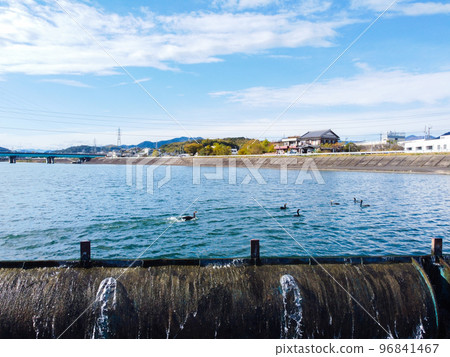 Kagamigawa, Kochi City by drone 96841467