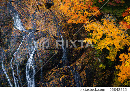 Fukurodon falls autumn leaves Fukurodon falls autumn leaves 96842213