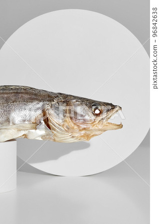 Air-dried pike perch on cylindrical stand on gray background Air-dried pike perch on cylindrical stand on gray background 96842638