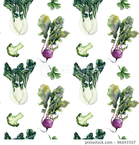 Kohlrabi, bok choy, Chinese cabbage, broccoli, parsley watercolor pattern, white background. Realistic food illustration Kohlrabi, bok choy, Chinese cabbage, broccoli, parsley watercolor pattern, white background. Realistic food illustration 96843507