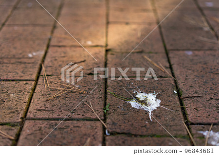 Bird droppings 96843681