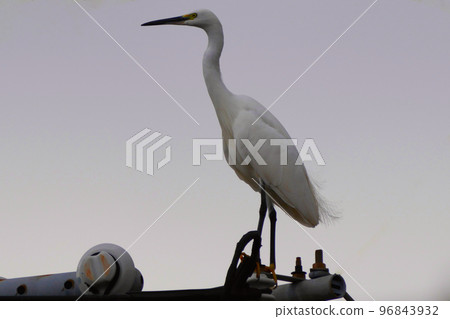 Heron Heron 96843932