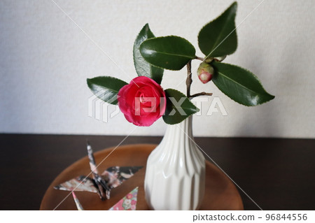 用花園裡的 Kantsubaki 裝飾入口 96844556