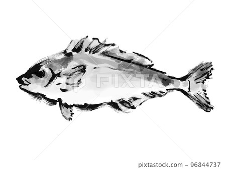Atka鯖魚手繪日式插畫素材黑白，單色，單色， 96844737