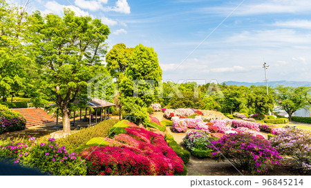 Beautiful spring season, spring flowers, tourist attraction: landscape in the park "Japan's top 100 azaleas and tourist attractions", Kyushu, Kumamoto Prefecture (Showa Garden) 96845214