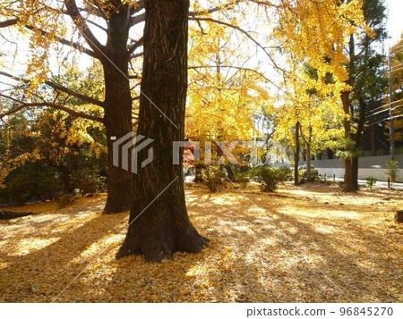 Musashiseki Park (Nerima Ward, Tokyo) 96845270