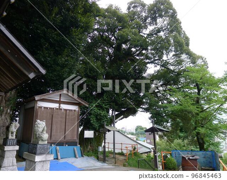 諸岡神社（東京都青梅市） 96845463